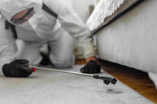 Professional Bed Bug Control technician working in St. Joseph, IL