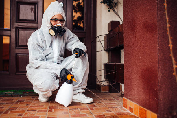 Reliable Bed Bug Control contractor in St. Joseph, IL by Nex Pest Control